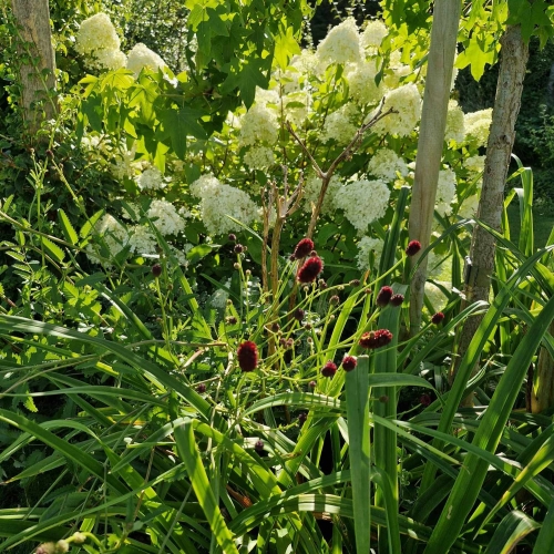 Måske havens blomster også kan give dig inspiration